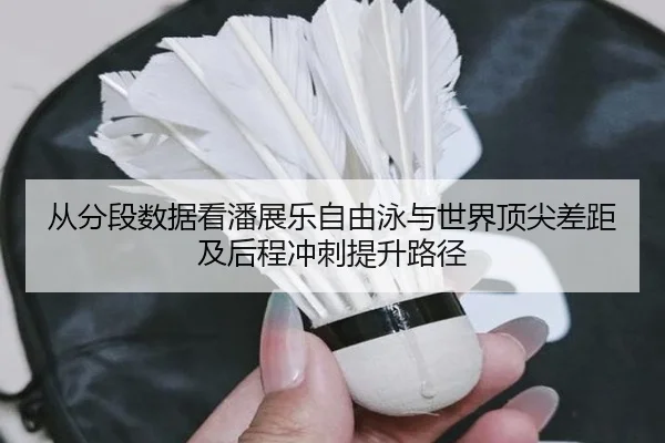 从分段数据看潘展乐自由泳与世界顶尖差距及后程冲刺提升路径