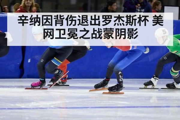 辛纳因背伤退出罗杰斯杯 美网卫冕之战蒙阴影