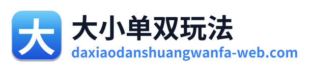 大小单双玩法
